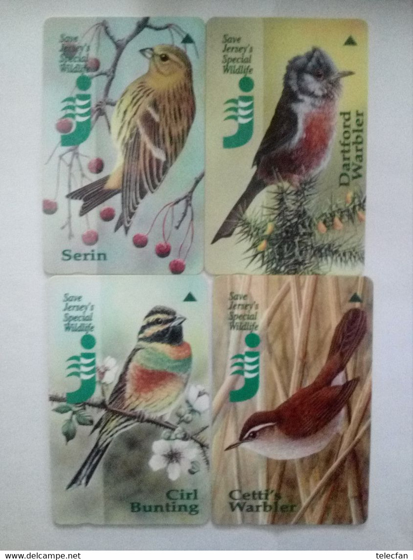 JERSEY SET 4 CARDS DIFF. BIRDS OISEAUX N° 33JER..... UT - Altri & Non Classificati