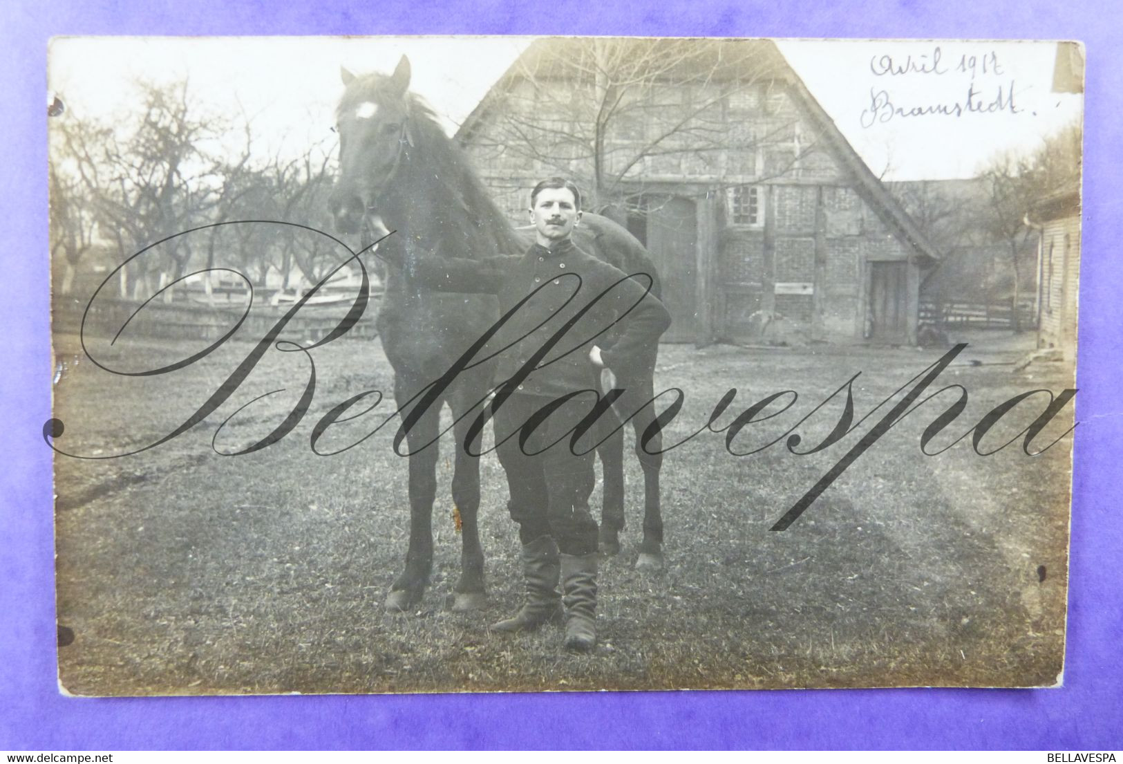 Pferd Militar ? Avril 1917 Bramstedt  Fotograf Photo C. Ahlring Bassum Niedersaksen Germany - Paarden