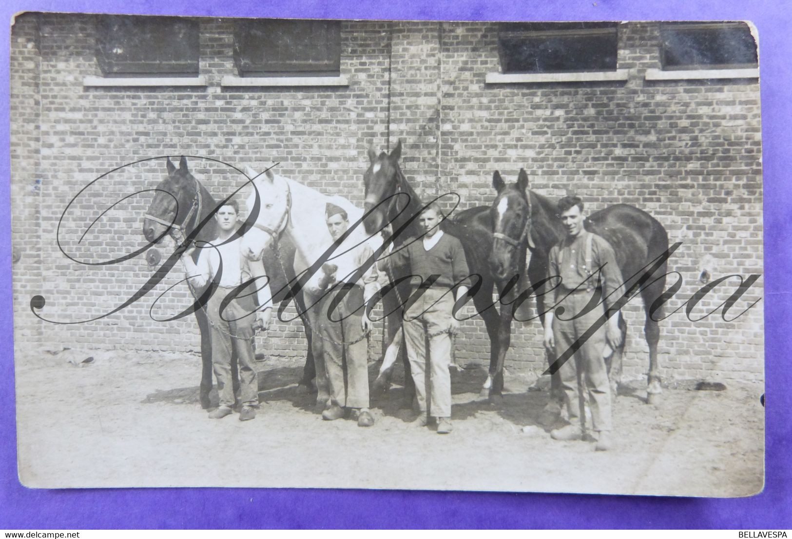 Militair Paarden Soldaten (Mogelijk Kazerne Leopoldsburg ? Bourg-Leopold?) Fotokaart Carte Photo RPPC - Caballos