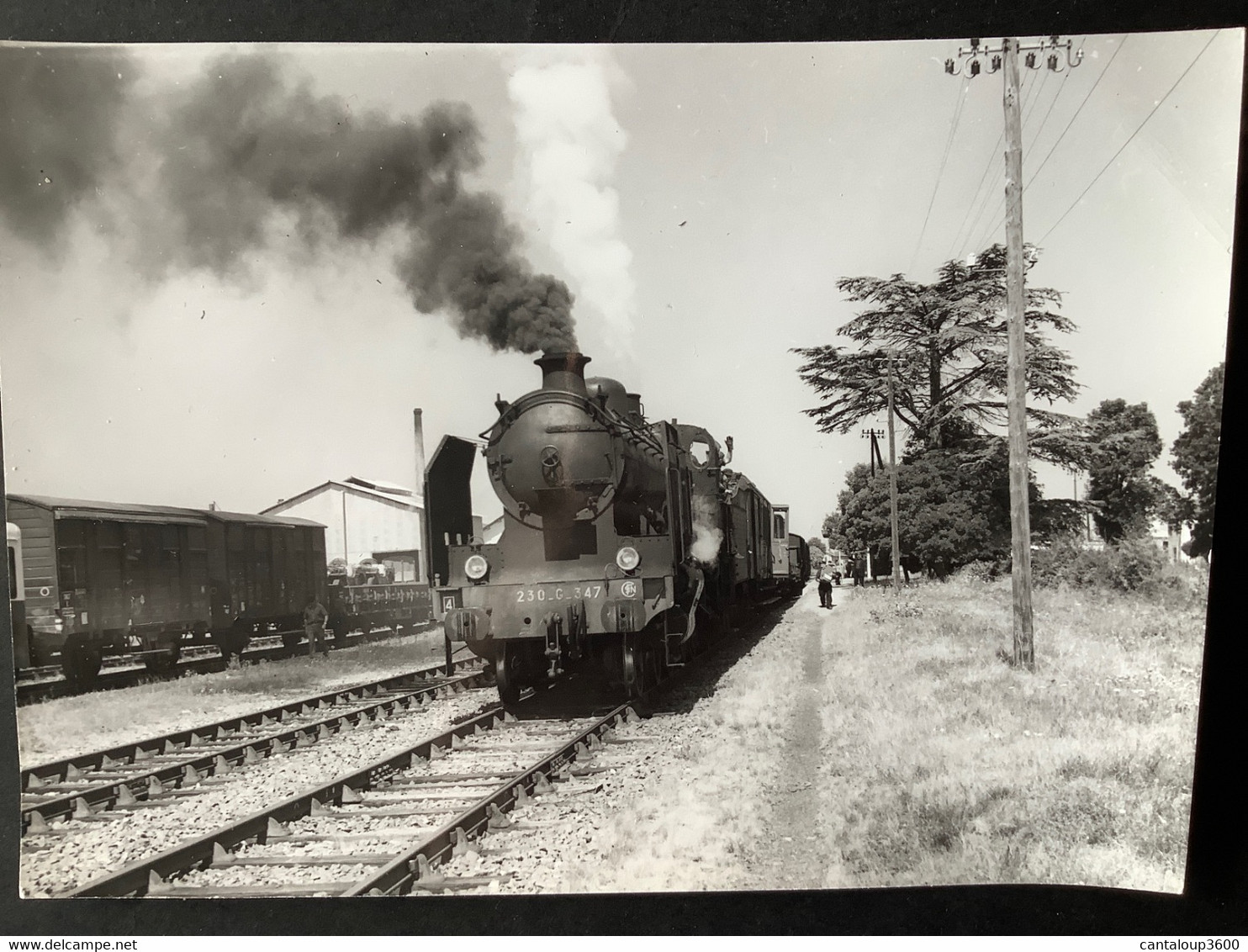 Photo Originale De J.BAZIN :train MV De RISLE à PORT- Ste MARIE : Au Départ De RISLE En 1959 - Trains