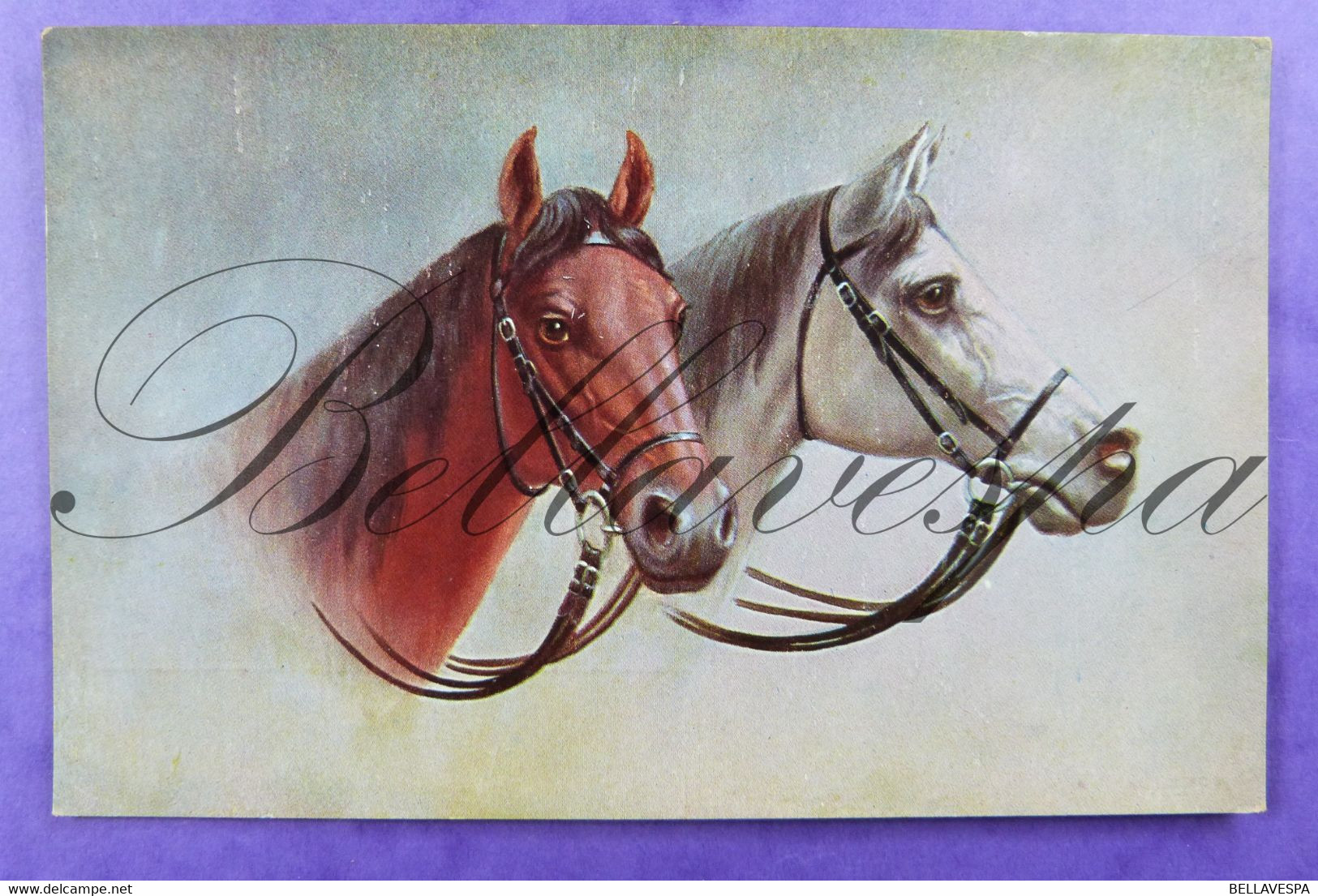 Fantasie Cheval Horse Painting Edit. PELUBA  Serie N°204 Printed Germany _ 2 X CPA - 1900-1949