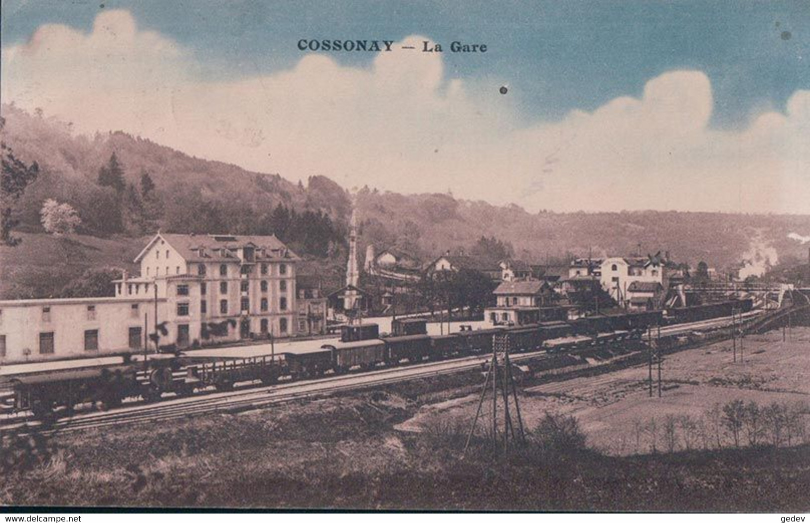 Cossonay Gare VD, Chemin De Fer Et Trains à Vapeur (489 B) - Cossonay