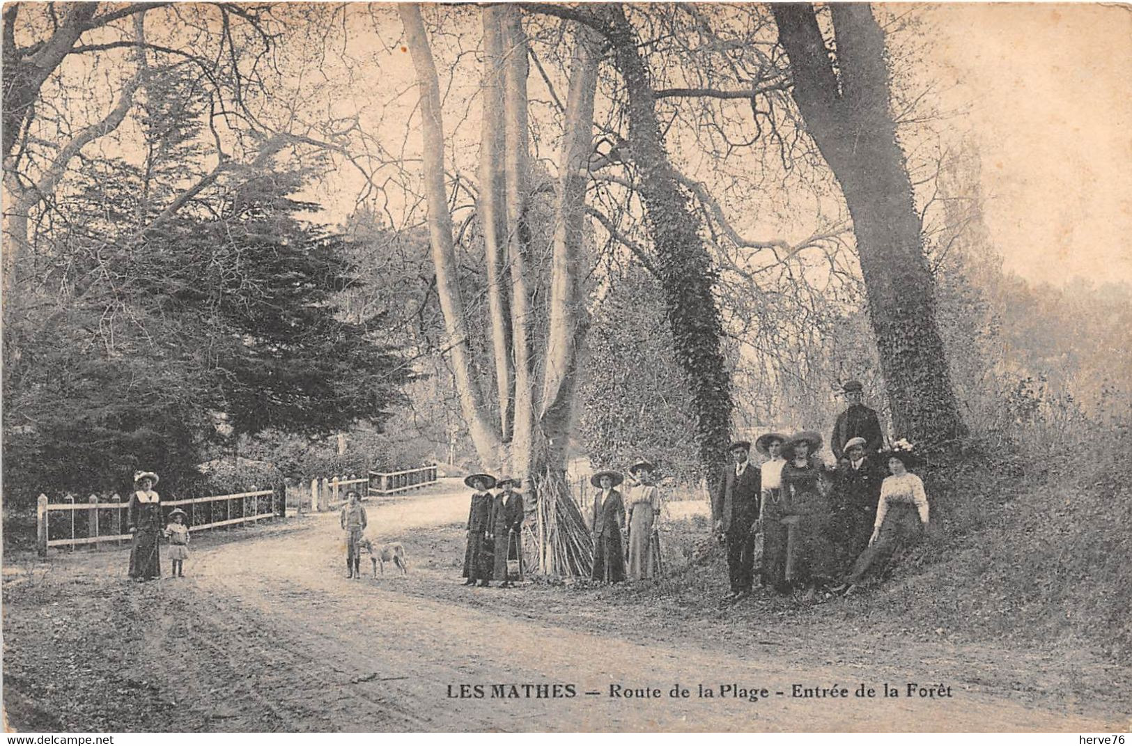 LES MATHES - Route De La Plage - Entrée De La Forêt - Les Mathes