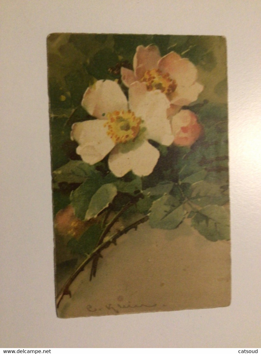 Carte Postale Ancienne Signée Catharina Klein Fleurs D’églantier - Klein, Catharina