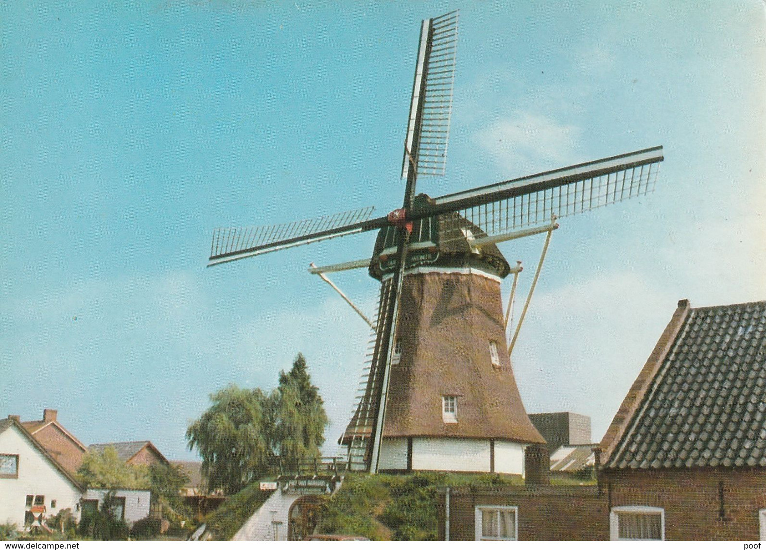 Deurne - Zeilberg : Achtkante Poldermolen / Molen Uit 1893 - Deurne