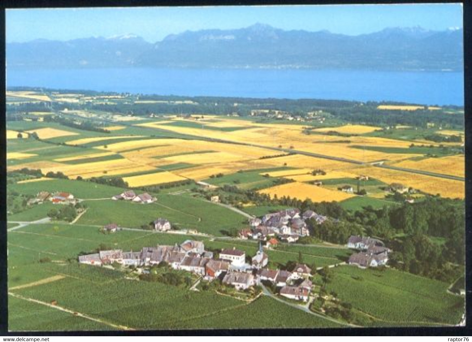 CPM Suisse FECHY Le Lac Léman Et Les Alpes - Féchy