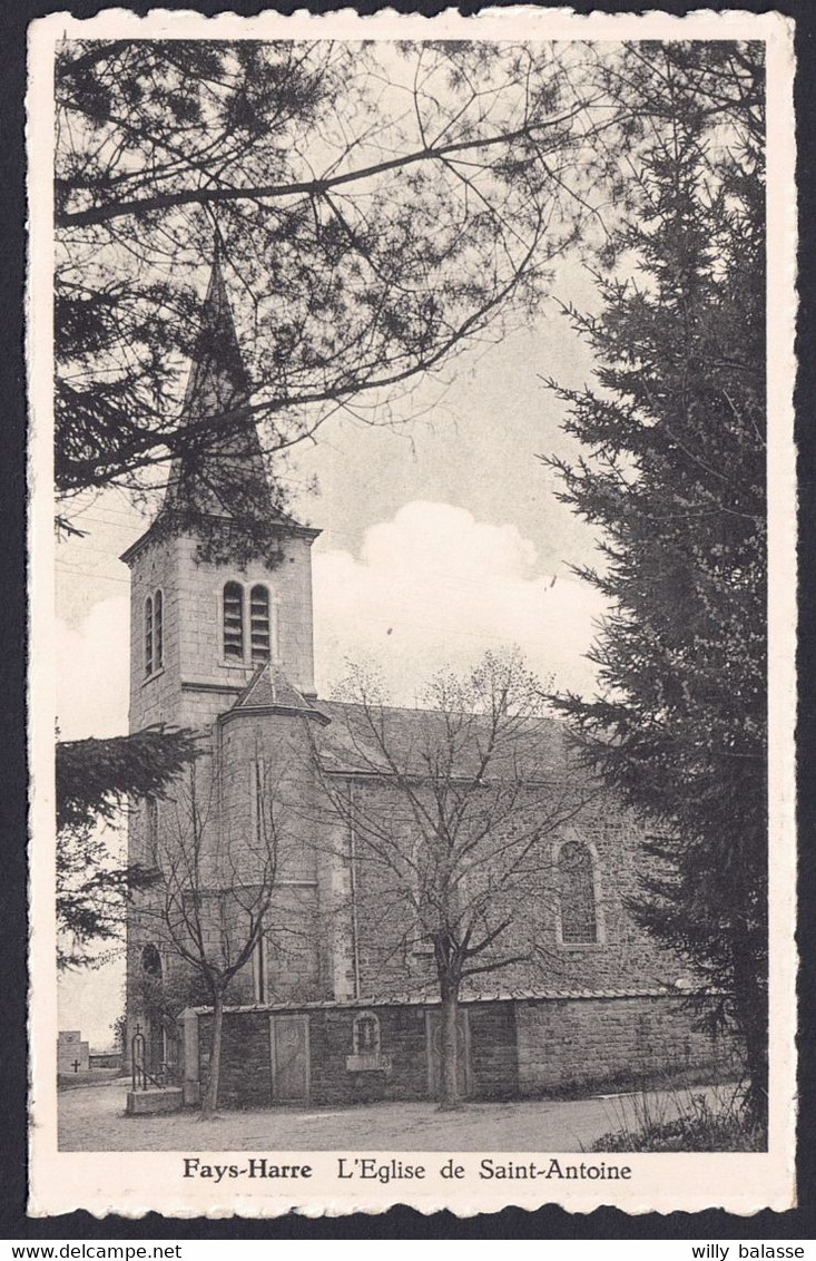 +++ CPA - FAYS - HARRE - Manhay - Eglise De Saint Antoine  // - Manhay