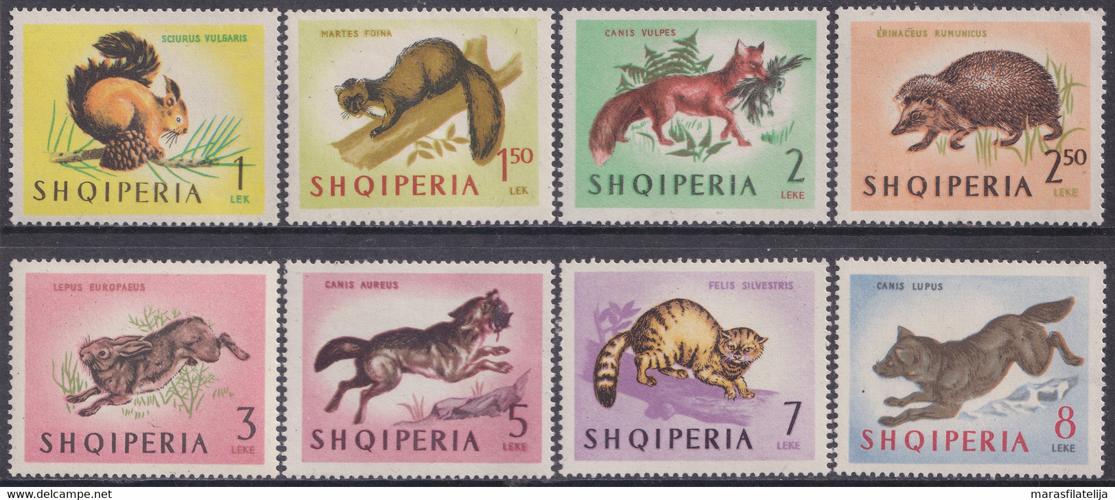 Albania, 1964, European Wild Forest Animals - Albanien