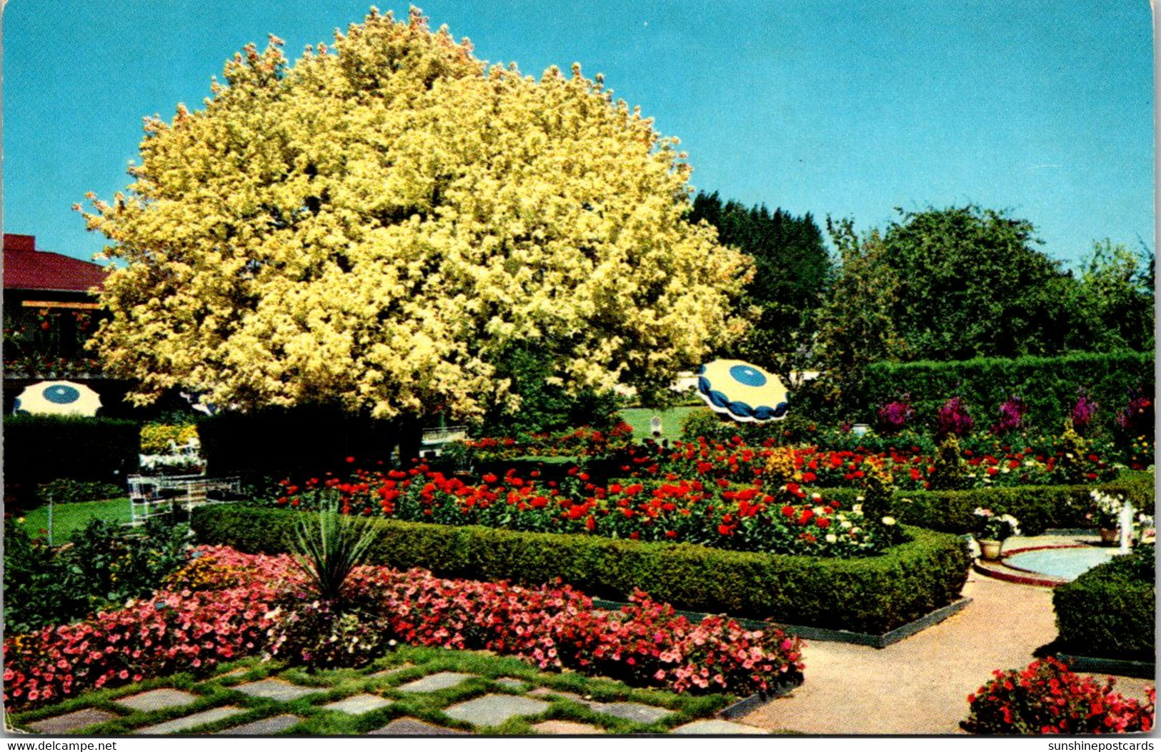 Oregona Portland Lambert Gardens Spanish Garden And Ghost Tree - Portland