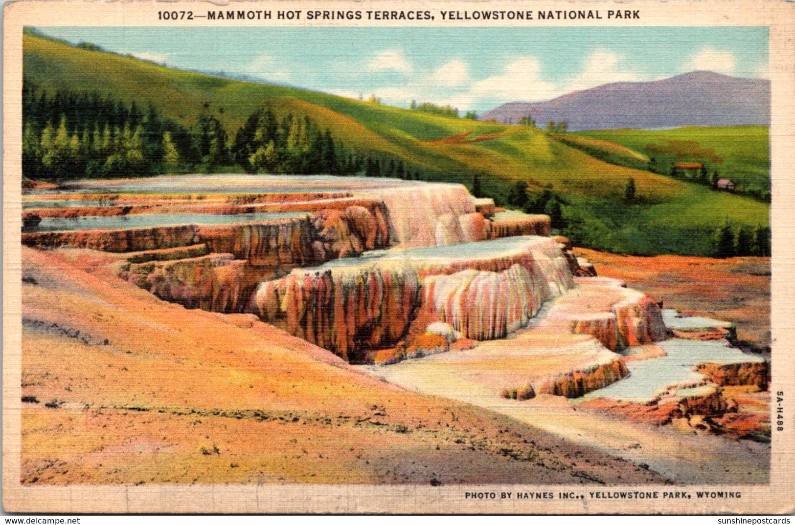Yellowstone National Park Mammoth Hot Springs Terraces Curteich - USA National Parks