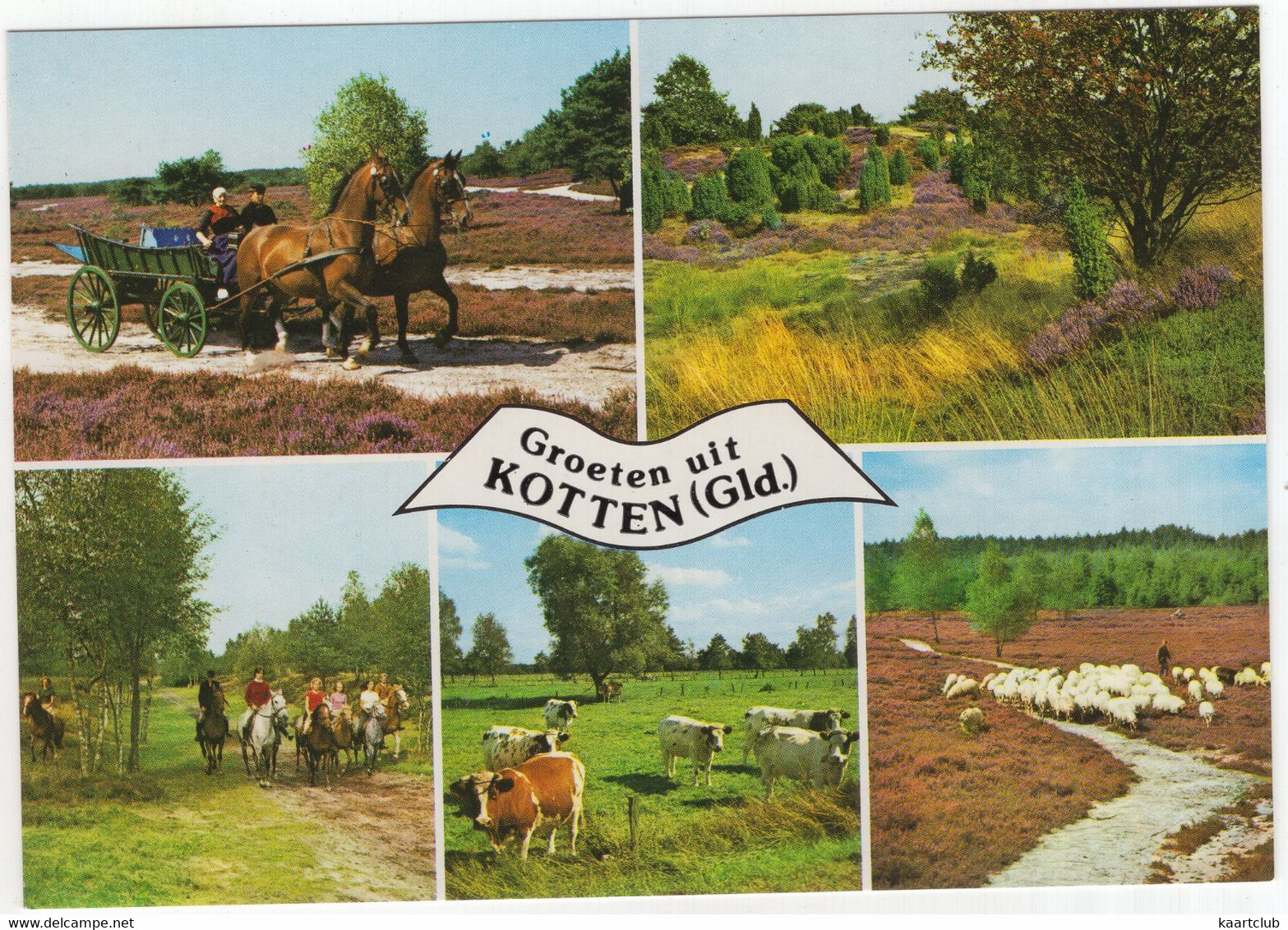 Groeten Uit Kotten - (Winterswijk, Gelderland, Nederland) - Nr. 664 - Winterswijk