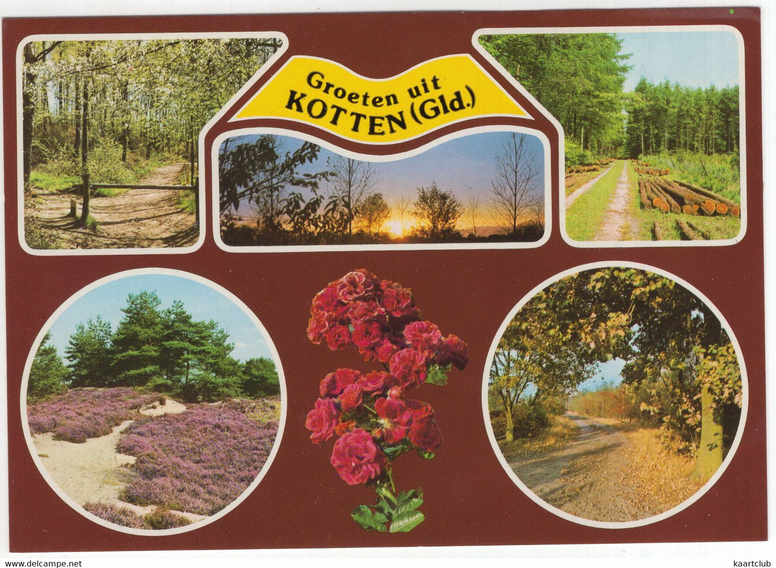 Groeten Uit Kotten - (Winterswijk, Gelderland, Nederland) - Nr. F 4223 - Winterswijk