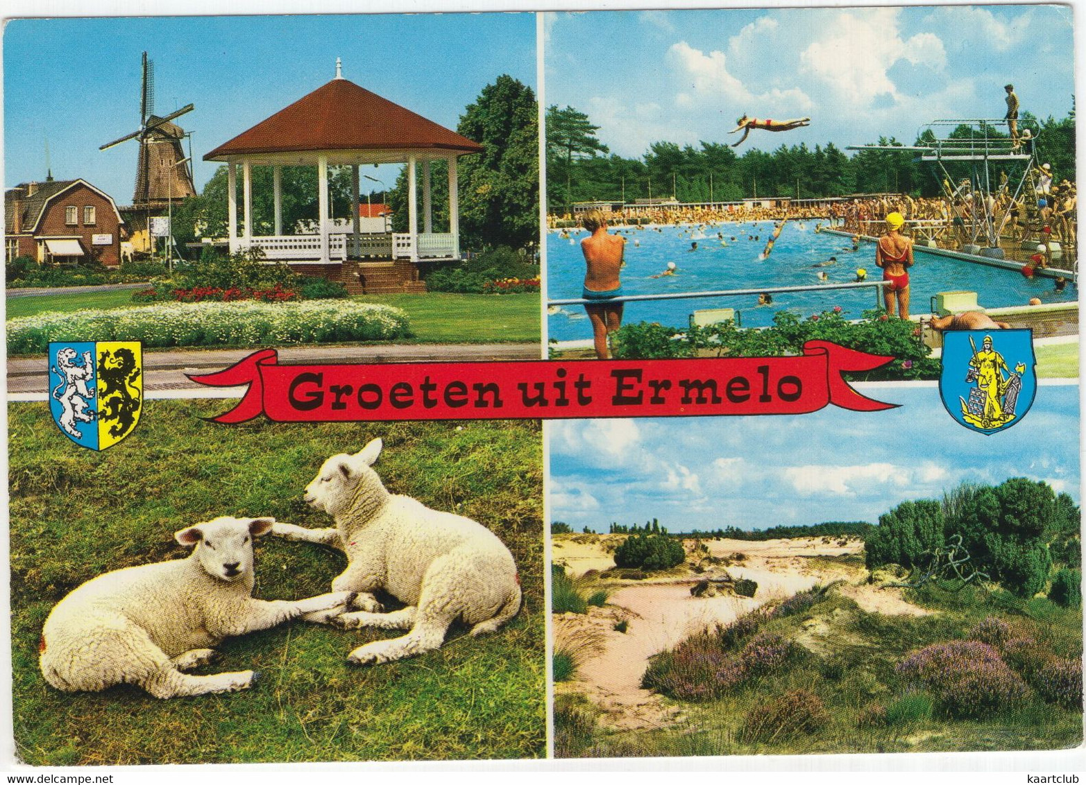 Groeten Uit Ermelo - (Gelderland, Nederland) - Nr. L 1597 - Molen, Zwembad, Lam, Muziekkoepel, Natuur - Ermelo