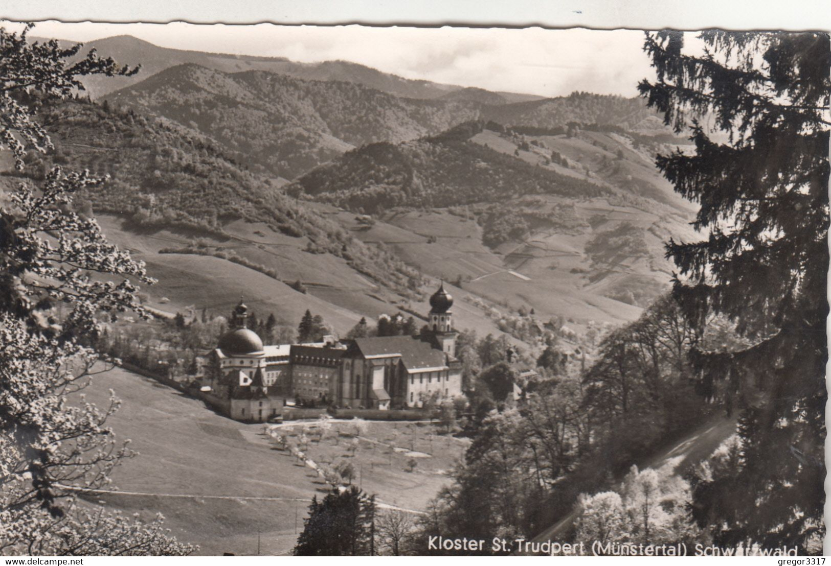 A4682) ST. TRUDPERT - Münstertal - Schwarzwald - Tolle Alte S/W AK - Muenstertal