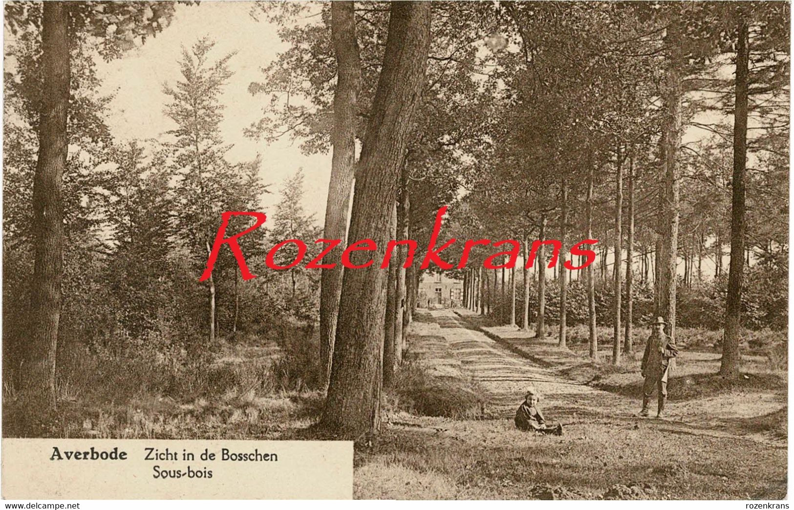 Averbode Zicht In De Bosschen Bossen Geanimeerd Met Kind  Jager Met Jachtgeweer Chasseur Chasse Hunter With Hunting Gun - Scherpenheuvel-Zichem