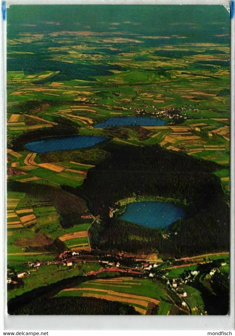 Vulkan - Eifel Bei Daun - Gemündener Maar - Weinfelder Maar - Luftbild - Daun