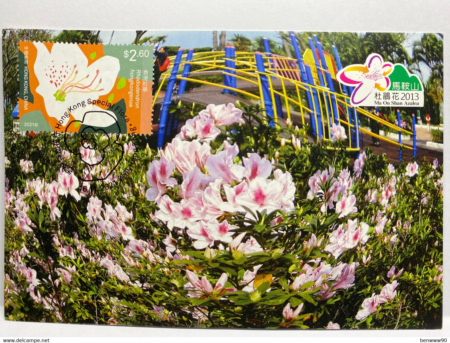 Flower, Rhododendron Hongkongense, $2.6 Stamp, Ma On Shan Azalea Festival Postcard, Maximum Card - Maximum Cards