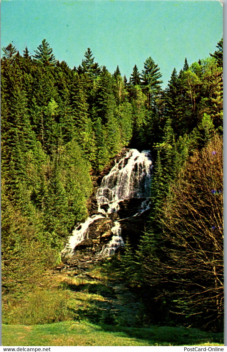 22807 - USA - Colebrook , Beaver Brook Falls , Wasserfall - Gelaufen 1980 - White Mountains