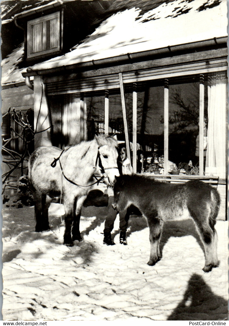 22934 - Steiermark - Semriach , Ponyhof  - Nicht Gelaufen - Frohnleiten