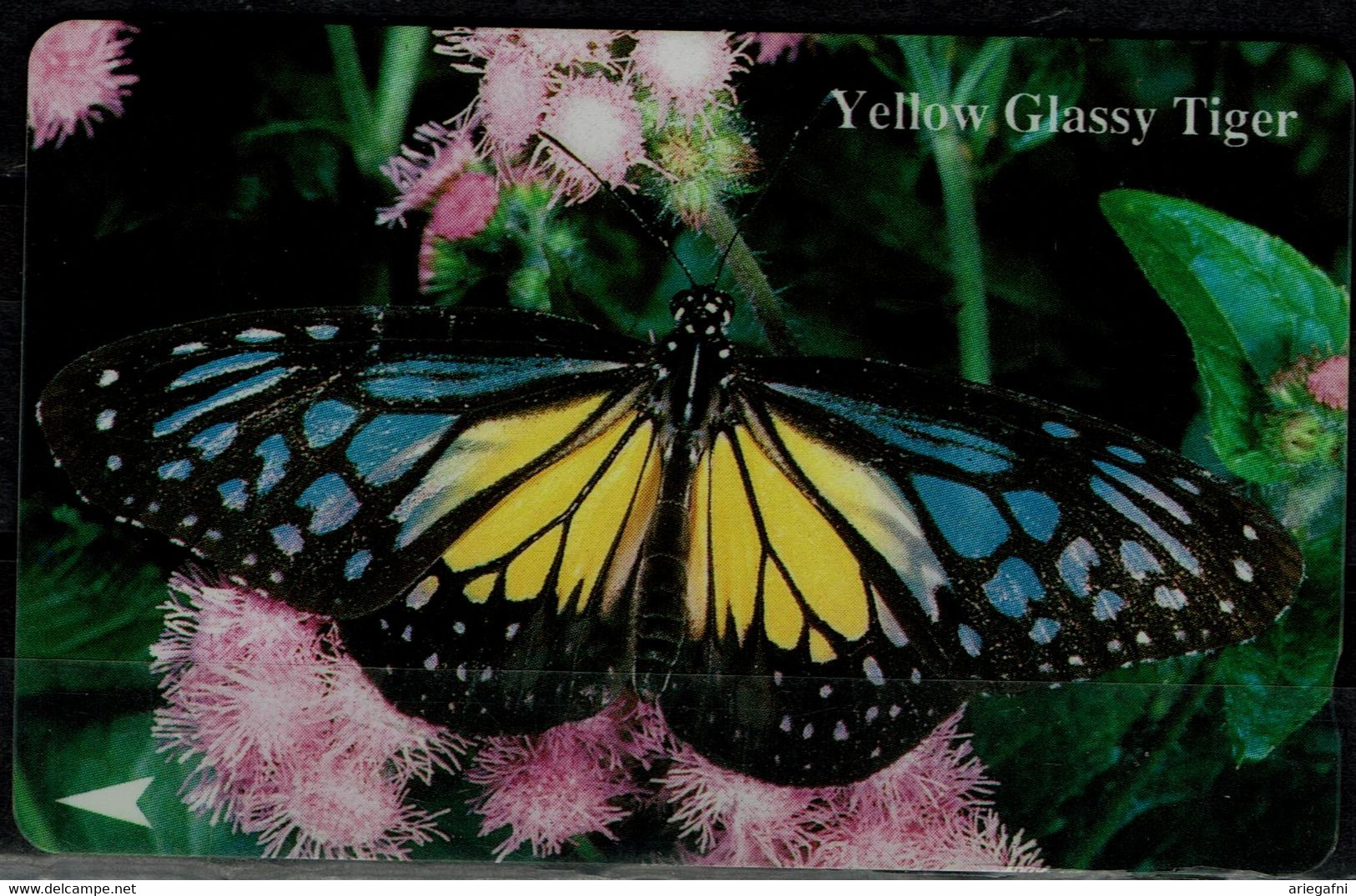 SINGAPORE  2003  PHONECARD BUTTERFLIES USED VF!! - Papillons