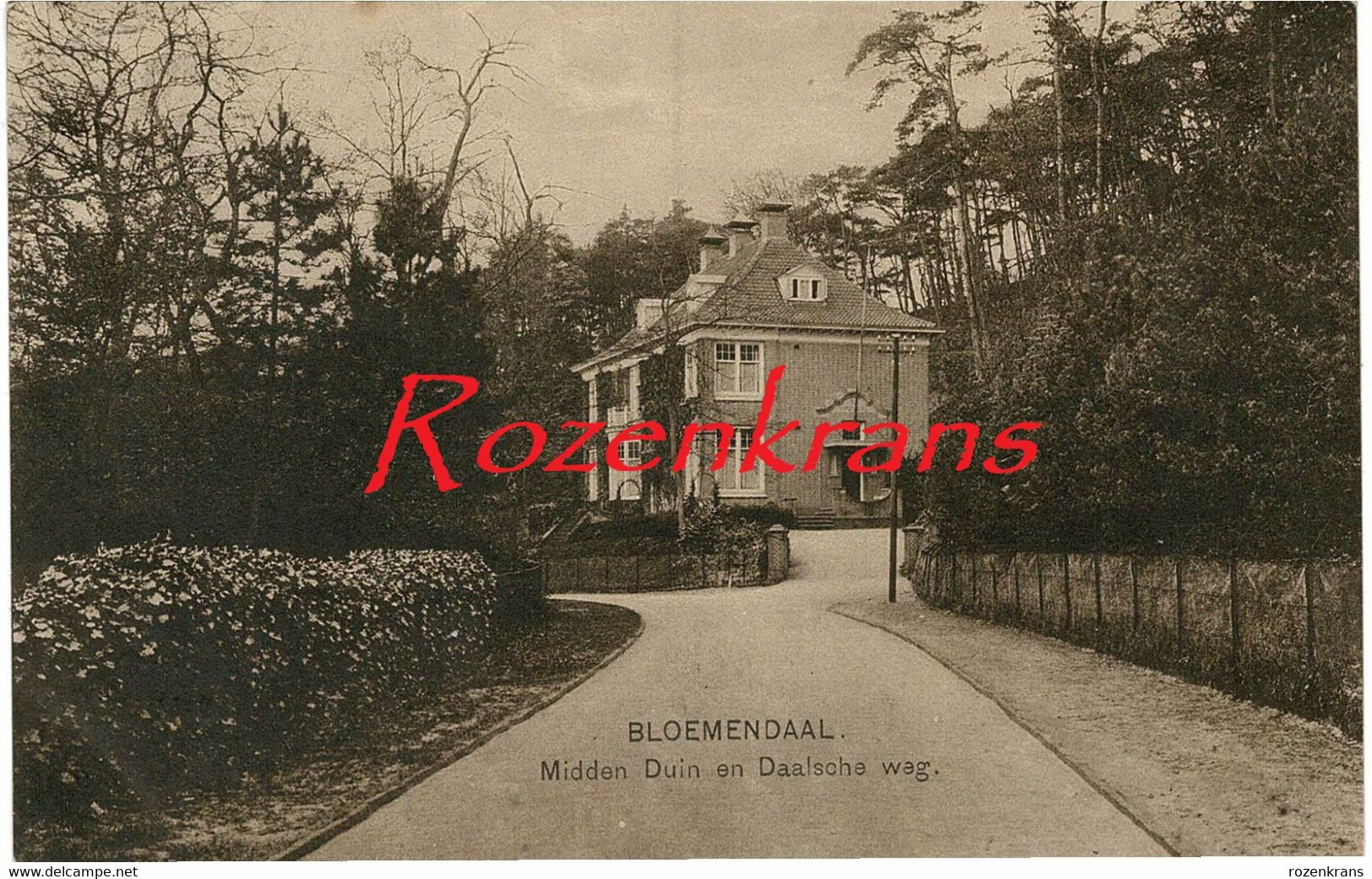 Nederland Bloemendaal Midden Duin En Daalsche Weg AK (In Zeer Goede Staat) - Bloemendaal