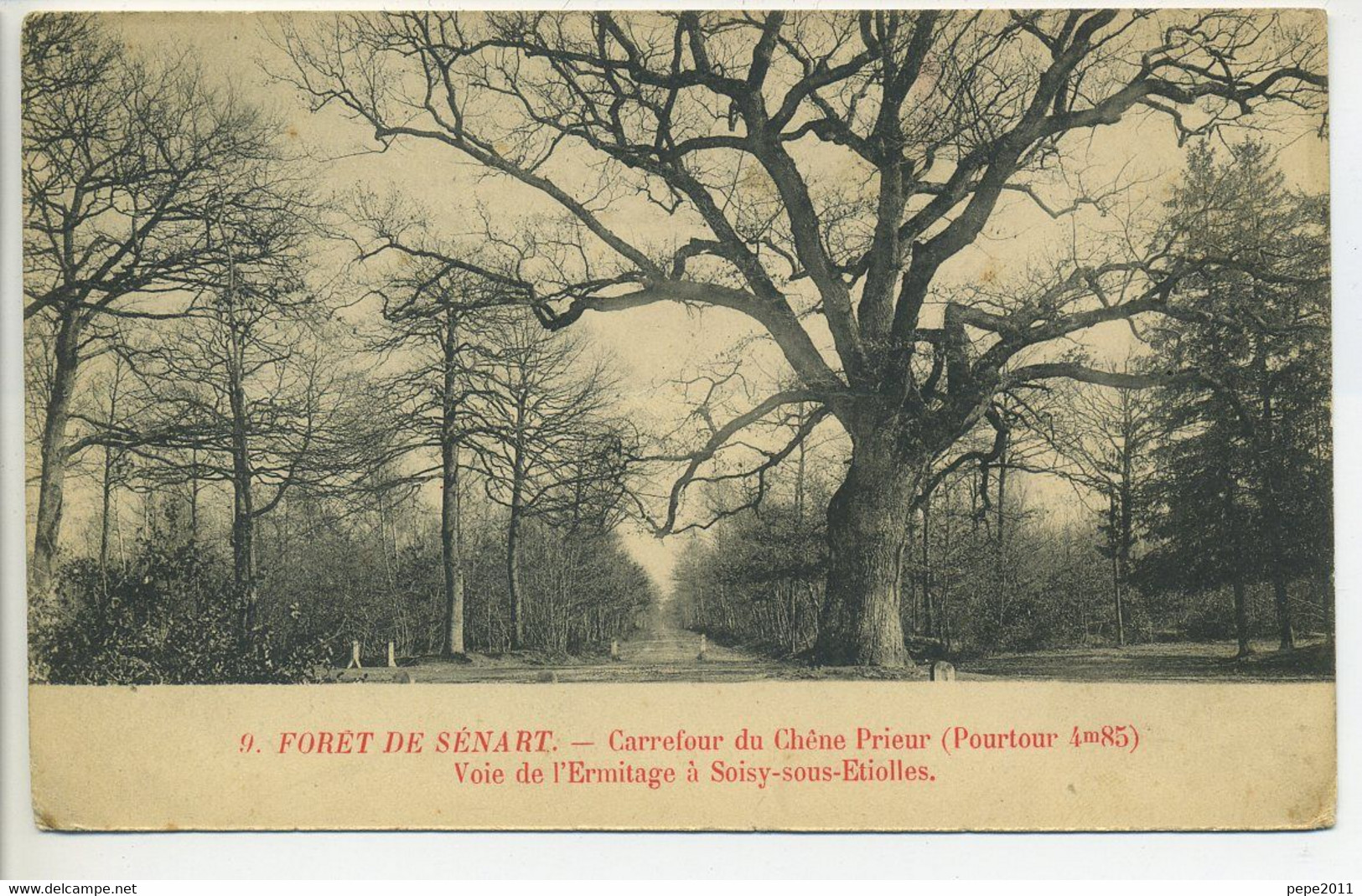 CPA  91 FORËT DE SÉNART Carrefour Du Chêne Prieur Voie De L'Ermitage à Soisy Sous Etiolles Peu Commune - Trees