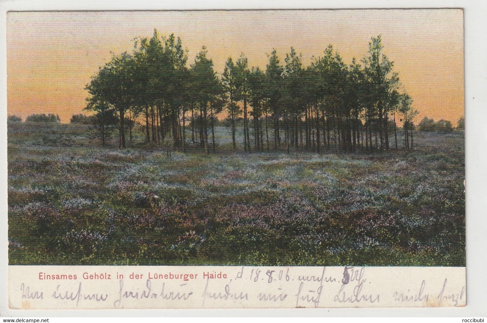 Lüneburger Heide - Lüneburger Heide