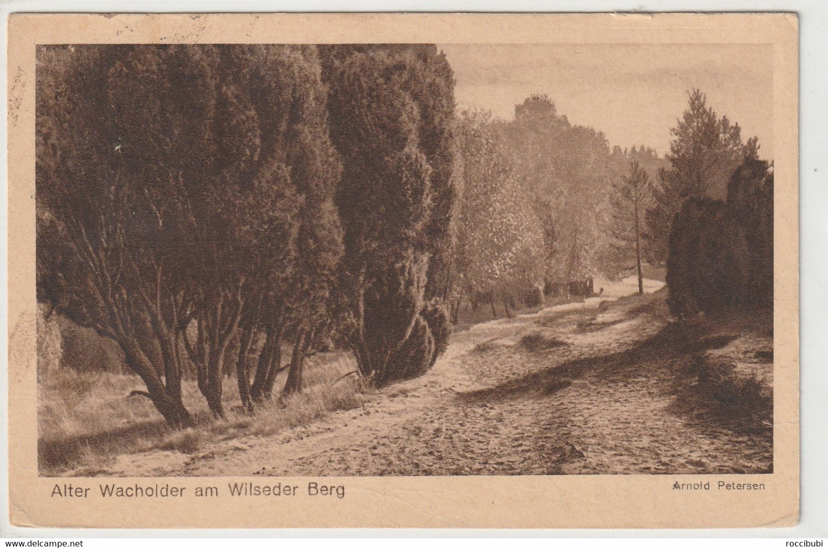 Lüneburger Heide - Lüneburger Heide