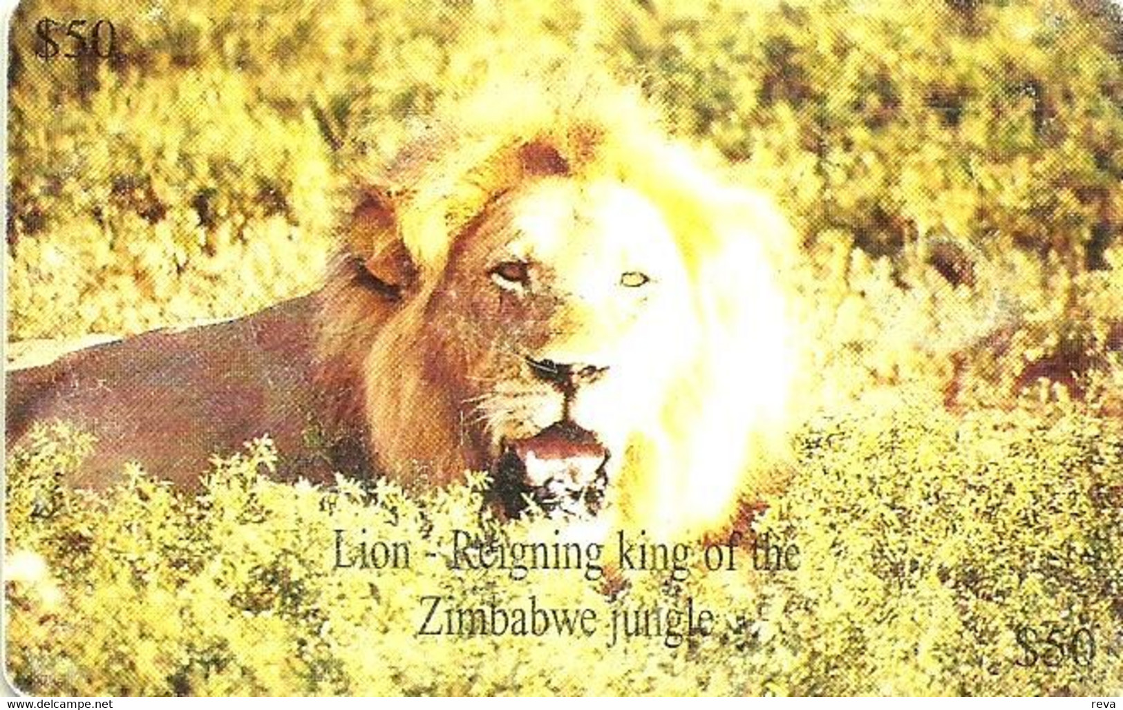 ZIMBABWE $50 LION ANIMAL ZIM- CHIP READ DESCRIPTION !! - Zimbabwe