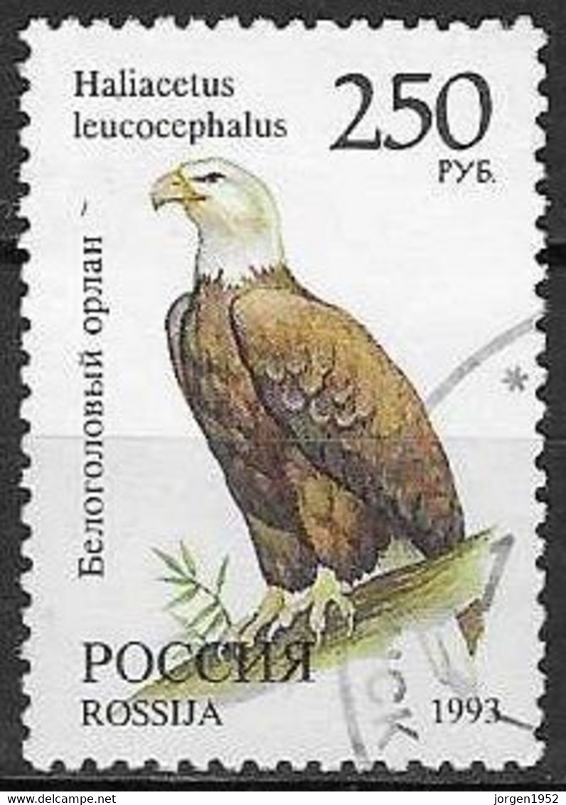 RUSSIA # FROM 1993 STAMPWORLD 347 - Usados