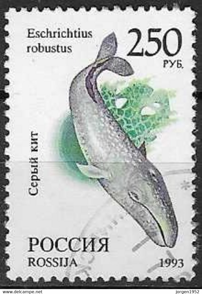 RUSSIA # FROM 1993 STAMPWORLD 351 - Used Stamps