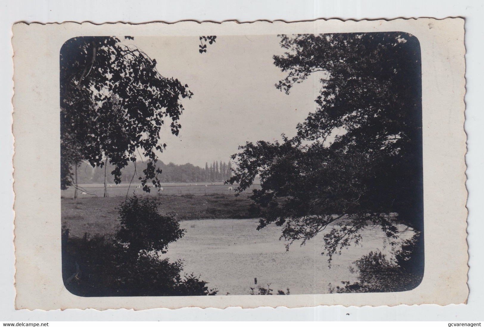 OMGEVINGEN  DRONGEN ST.MARTENS LATEM, OOIDONCK  - PRIVE FOTOKAARTEN - ZICHTEN LEIE - Sint-Martens-Latem