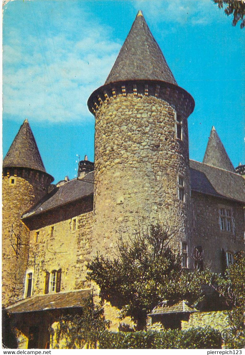 30 - Chamborigaud - Château De Montjoie (XIVe Siècle) - Chamborigaud