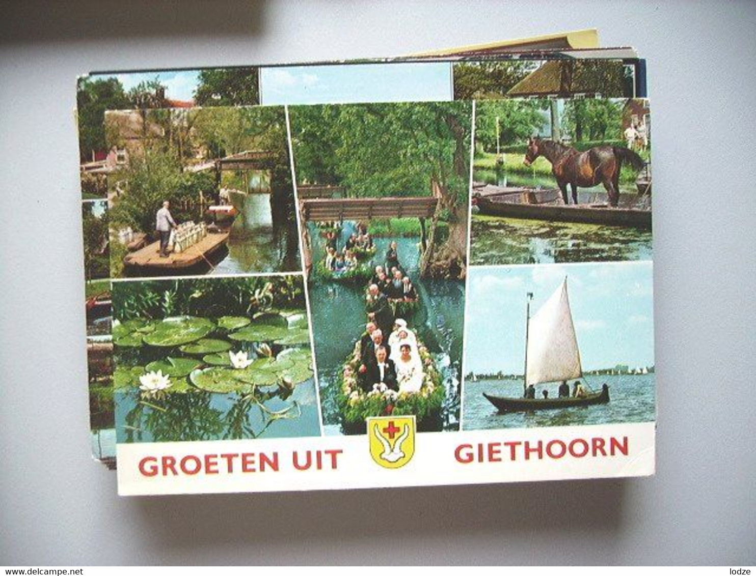 Nederland Holland Pays Bas Giethoorn Met Paard Op Boot - Giethoorn