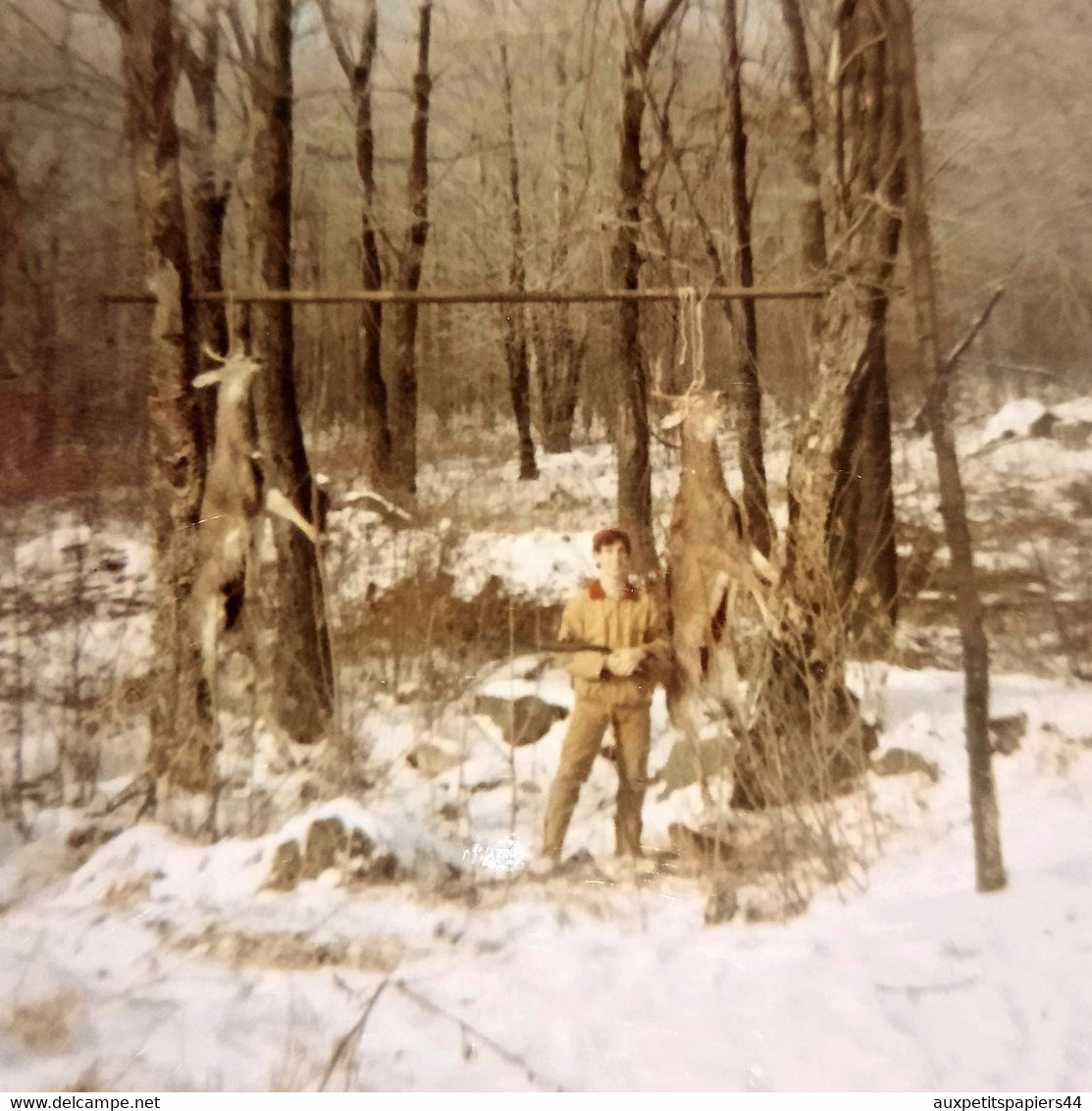 Gros Lot d'environ 9 kg de Photos Couleurs Carrées ou pas - Années 1960 à 2000. Légendes dos ou pas.