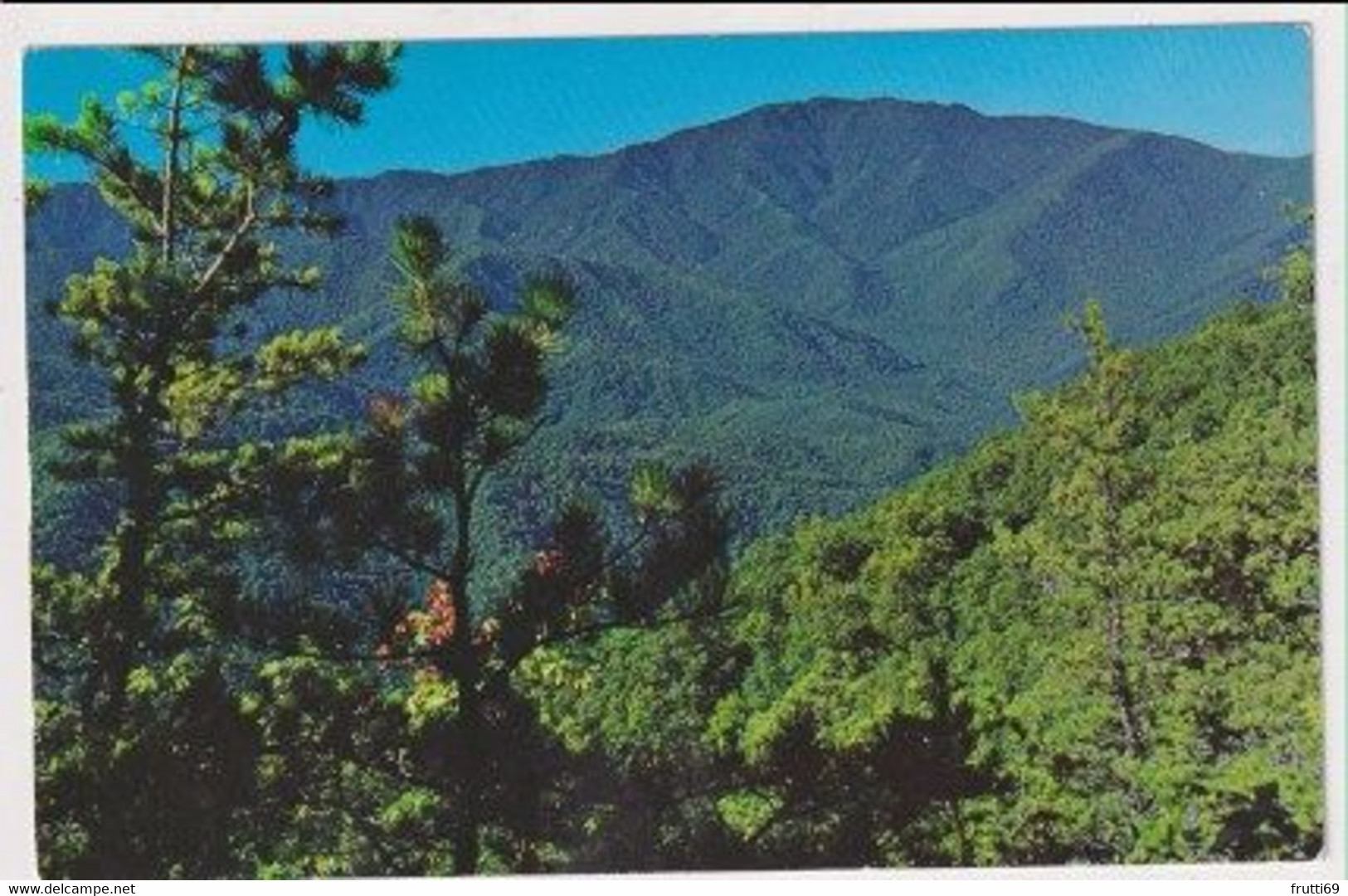 AK 018653 USA - Tennessee - Smoky Mountains - Mount LeConte - Smokey Mountains