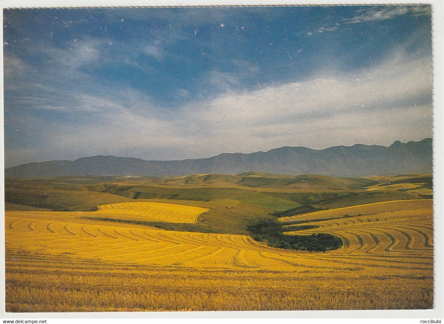 The Golden Lands, Swellendam - South Africa