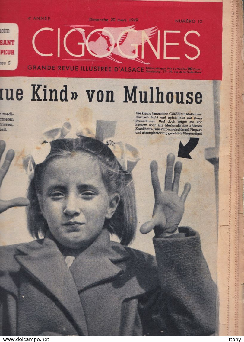 Revue Illustrée De La Famille  Cigognes 1949   édition Strasbourg    Großes Illustriertes Familienmagazin Auf Deutsch - Kinder- & Jugendzeitschriften