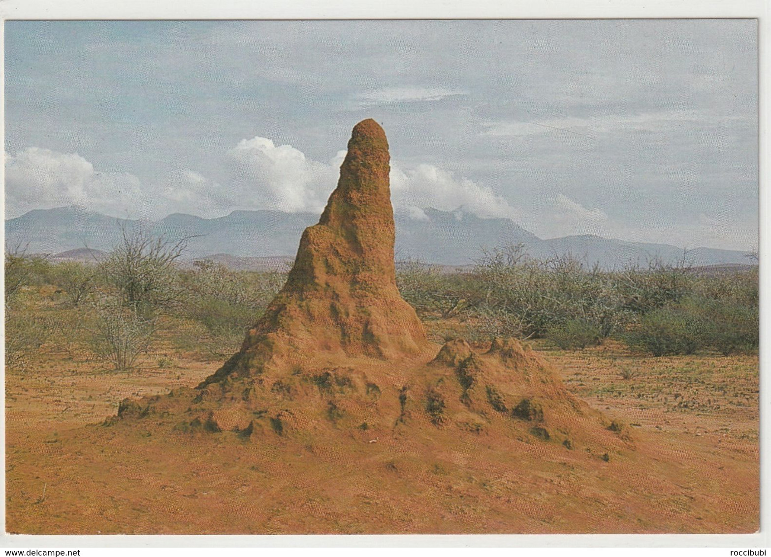 SWA, Termitenhügel - Namibië