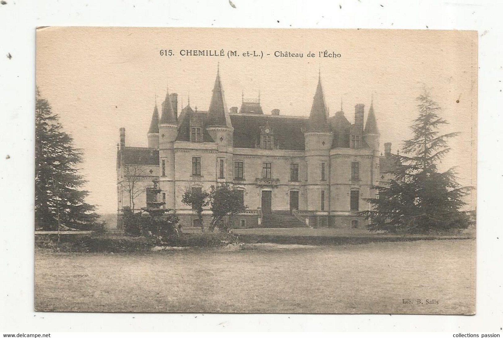 Cp , 49 ,CHEMILLE ,château De L'Echo , Vierge - Chemille