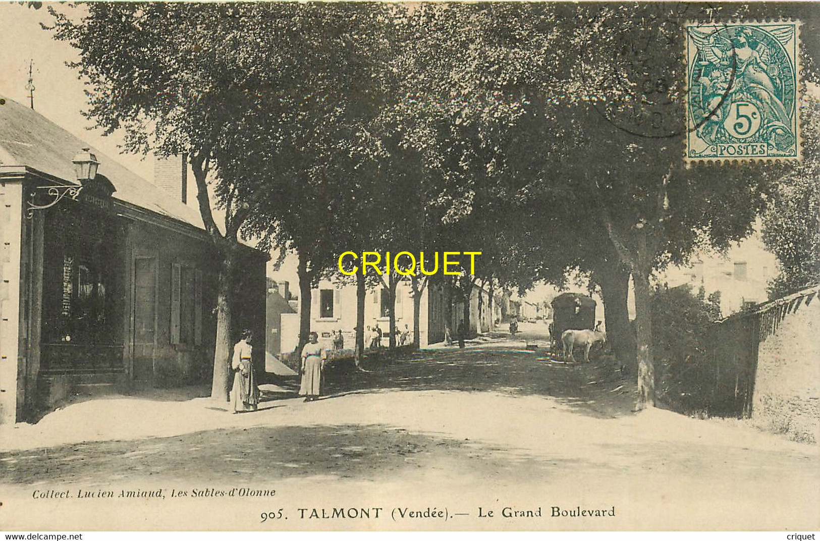 85 Talmont, Le Grand Boulevard, Carte Pas Courante Affranchie 1906 - Talmont Saint Hilaire