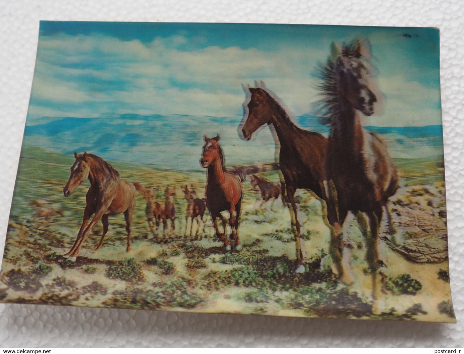 3d 3 D Lenticular Stereo Postcard Horses Toppan   A 212 - Cartes Stéréoscopiques