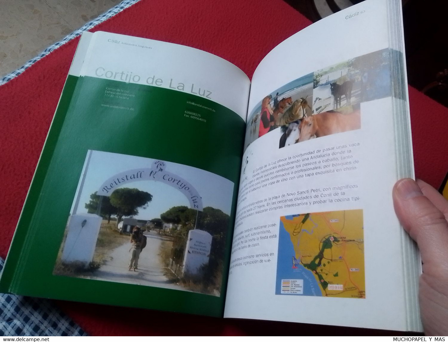 LIBRO GUÍA DE TURISMO ECUESTRE JUNTA DE ANDALUCÍA EN ESPAÑOL, CABALLOS HORSES CHEVAL LES CHEVAUX  201 PÁGINAS, VER FOTOS - Altri & Non Classificati