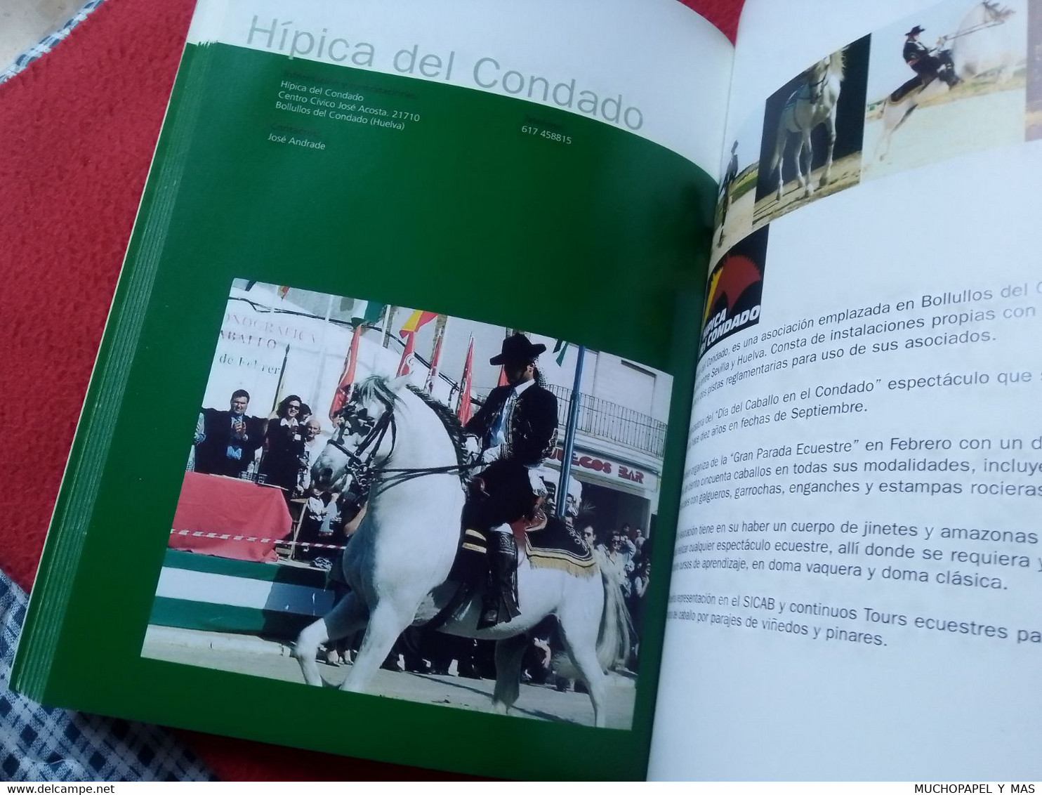 LIBRO GUÍA DE TURISMO ECUESTRE JUNTA DE ANDALUCÍA EN ESPAÑOL, CABALLOS HORSES CHEVAL LES CHEVAUX  201 PÁGINAS, VER FOTOS - Sonstige & Ohne Zuordnung