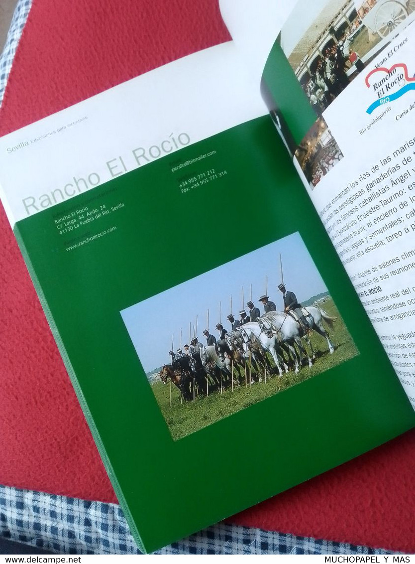 LIBRO GUÍA DE TURISMO ECUESTRE JUNTA DE ANDALUCÍA EN ESPAÑOL, CABALLOS HORSES CHEVAL LES CHEVAUX  201 PÁGINAS, VER FOTOS - Autres & Non Classés