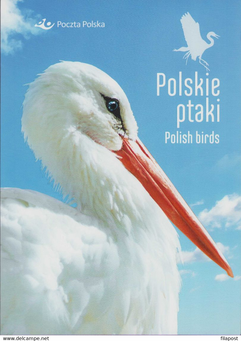 Poland 2020 Booklet / Polish Birds - White Black Stork Ciconia Heron Ardea / With Full Sheet MNH** New!!! - Full Sheets