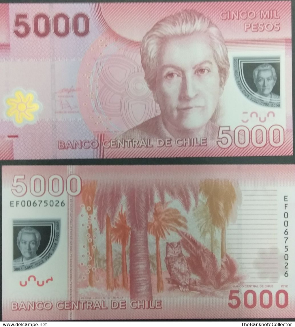 Chile 5000 Pesos ND 2009-2012 Polymer Issue P163 UNC - Chile