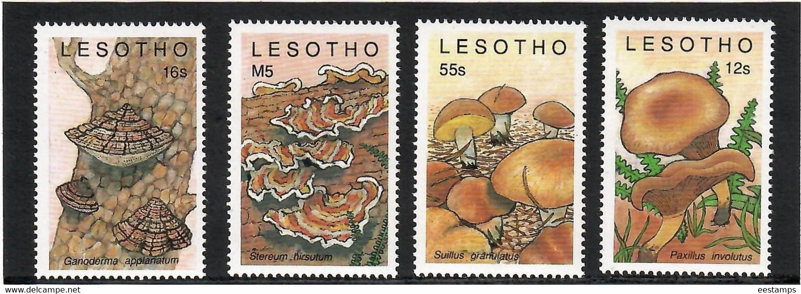 Lesotho 1989 . Mushrooms . 4v. + S/S .Michel # 777-80 + BL 64 - Lesotho (1966-...)