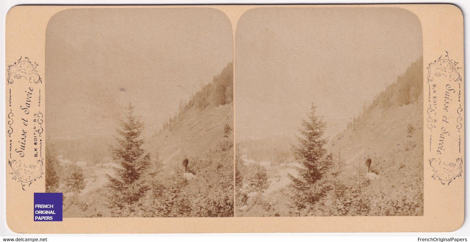 Vallée De Chamonix Mont-Blanc Prise Des Bossons Photo Stéréoscopique BK 16,8x8,4cm Vers 1880/90 Haute-Savoie C5-2 - Photos Stéréoscopiques