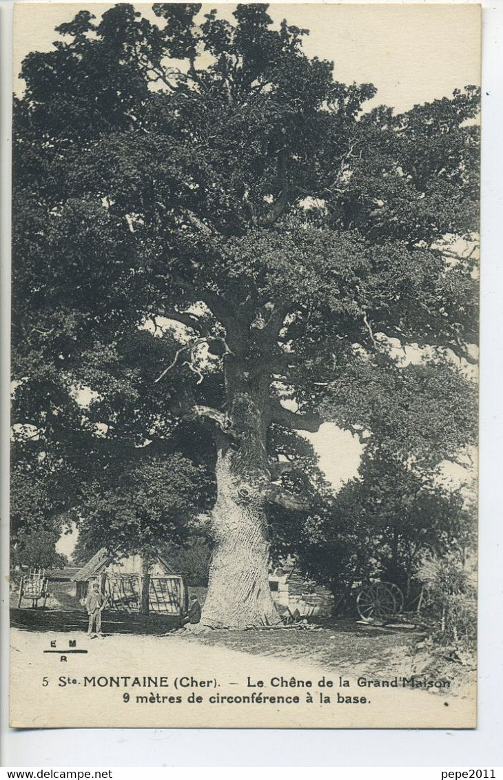 CPA 18 MONTAINE Chêne De La Grand Maison 9 Mètres Circonférence à La Base - Trees